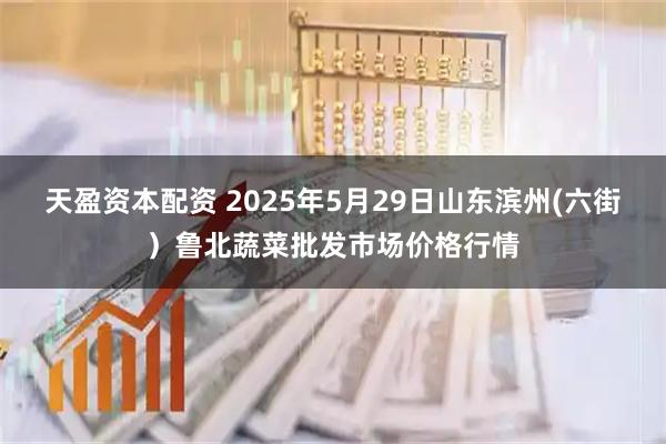 天盈资本配资 2025年5月29日山东滨州(六街）鲁北蔬菜批发市场价格行情