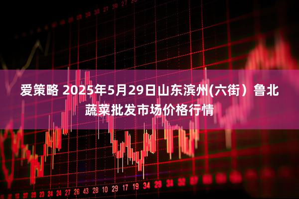 爱策略 2025年5月29日山东滨州(六街）鲁北蔬菜批发市场价格行情